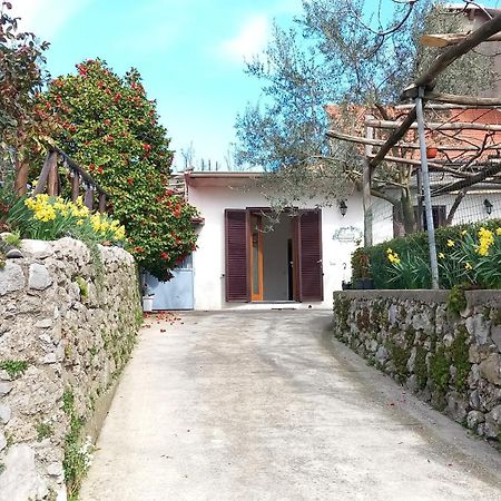 Mon Reve 2 Daire Pianillo Dış mekan fotoğraf